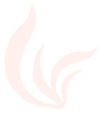 Seaweed-Icon_Cream