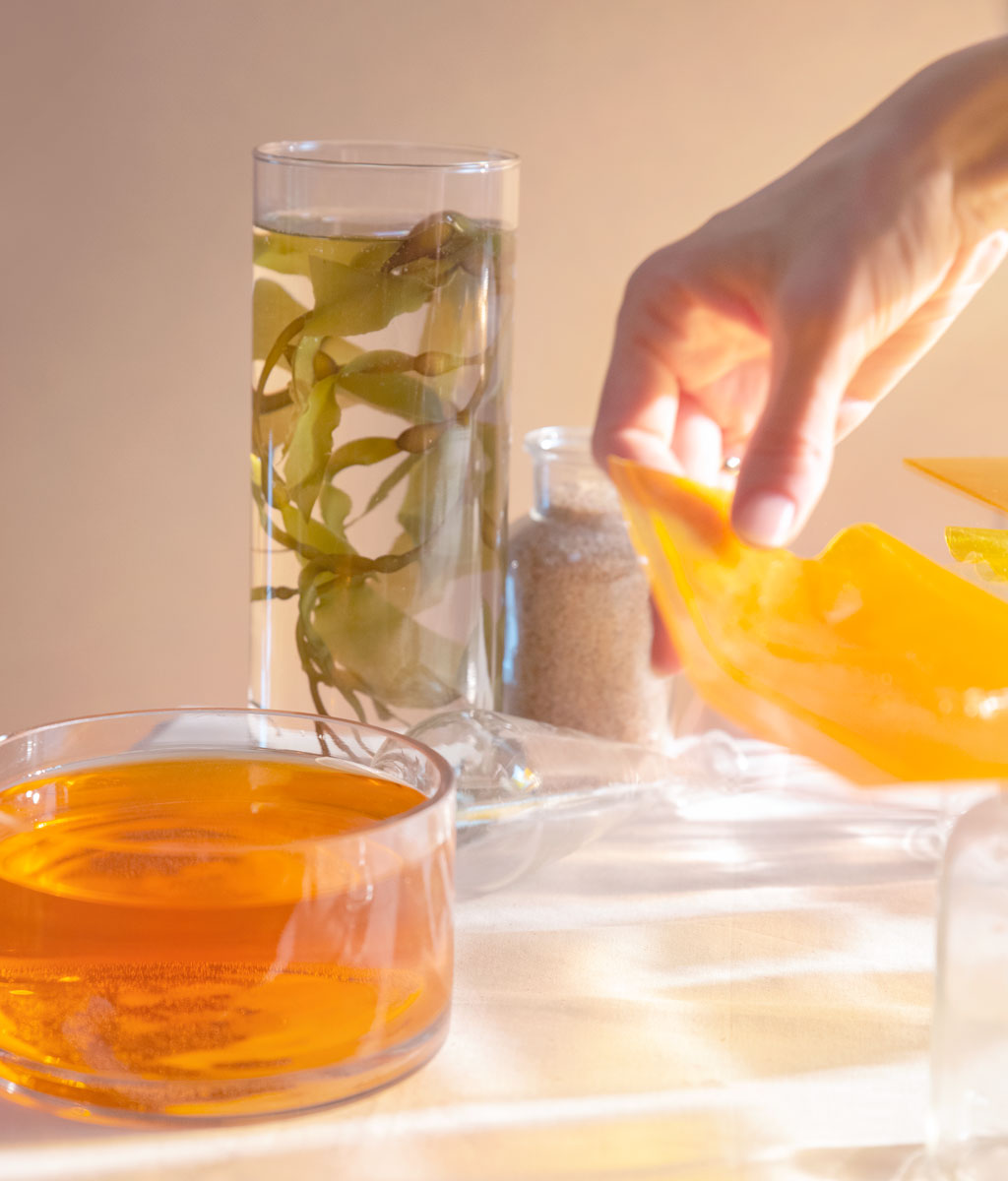 Seaweed-Bioplastic-Experiment-home